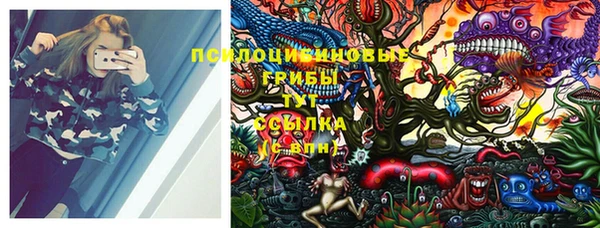 гидропоника Кадников