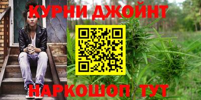 spice Гусев