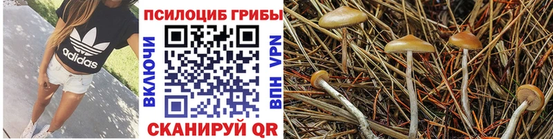 Галлюциногенные грибы мицелий  купить наркоту  Малоярославец 